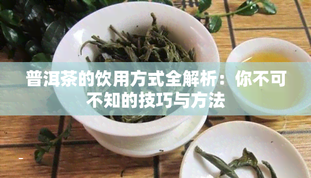 普洱茶的饮用方式全解析：你不可不知的技巧与方法