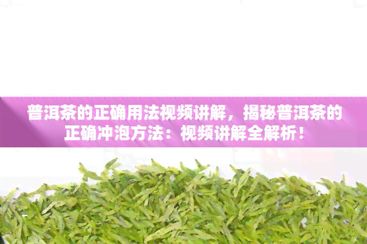 普洱茶的正确用法视频讲解，揭秘普洱茶的正确冲泡方法：视频讲解全解析！