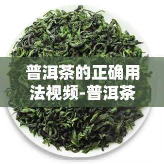 普洱茶的正确用法视频-普洱茶的正确用法视频教程