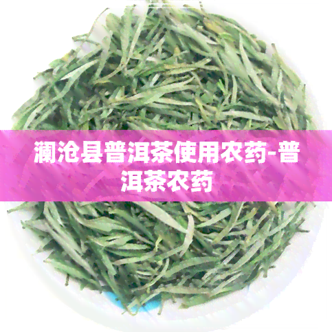 澜沧县普洱茶使用农-普洱茶农