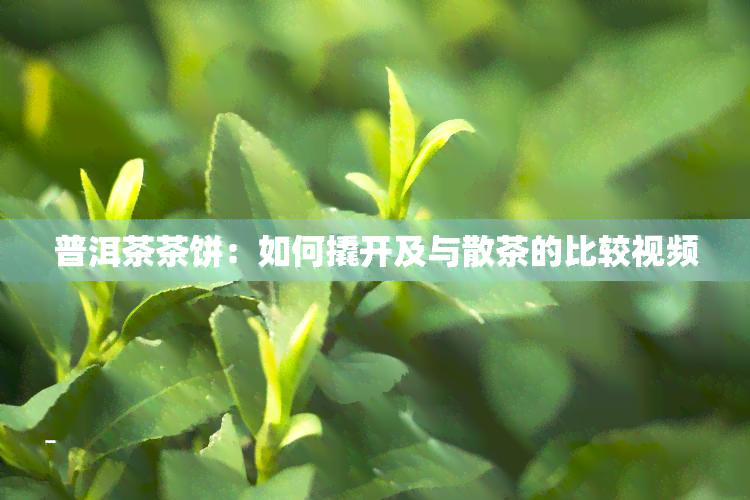 普洱茶茶饼：如何撬开及与散茶的比较视频