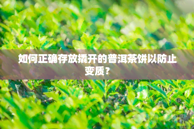 如何正确存放撬开的普洱茶饼以防止变质？