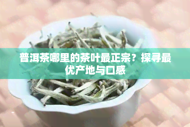 普洱茶哪里的茶叶最正宗？探寻更优产地与口感