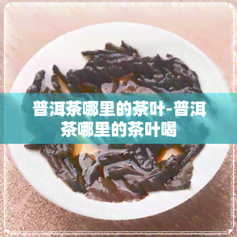 普洱茶哪里的茶叶-普洱茶哪里的茶叶喝