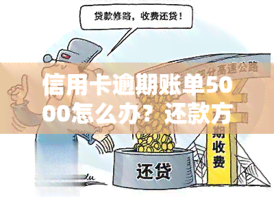 信用卡逾期账单5000怎么办？还款方案及应对策略解析