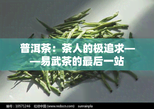 普洱茶：茶人的极追求——易武茶的最后一站