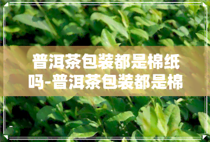 普洱茶包装都是棉纸吗-普洱茶包装都是棉纸吗为什么