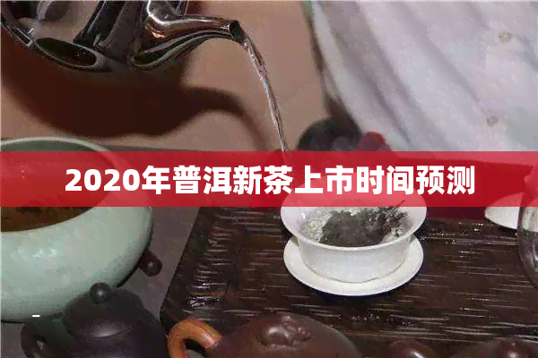 2020年普洱新茶上市时间预测