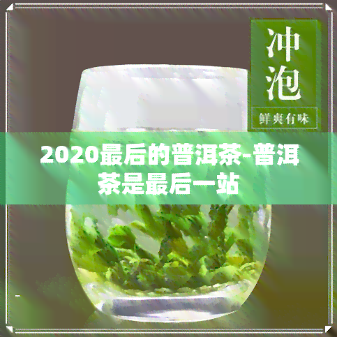 2020最后的普洱茶-普洱茶是最后一站