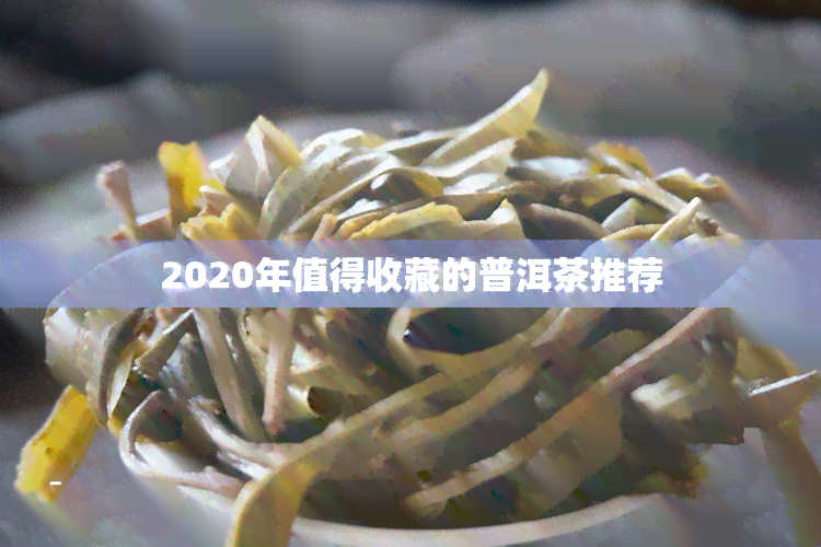 2020年值得收藏的普洱茶推荐