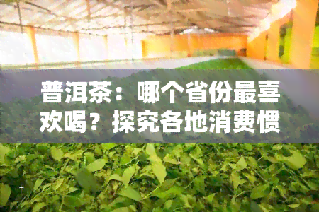 普洱茶：哪个省份最喜欢喝？探究各地消费惯