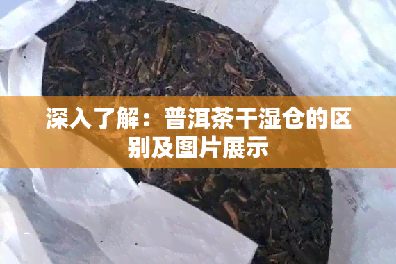 深入了解：普洱茶干湿仓的区别及图片展示