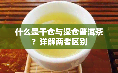 什么是干仓与湿仓普洱茶？详解两者区别