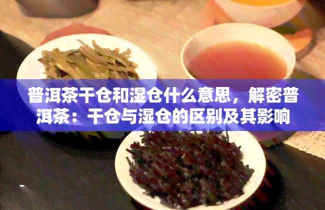 普洱茶干仓和湿仓什么意思，解密普洱茶：干仓与湿仓的区别及其影响