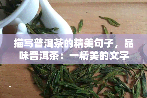 描写普洱茶的精美句子，品味普洱茶：一精美的文字之旅