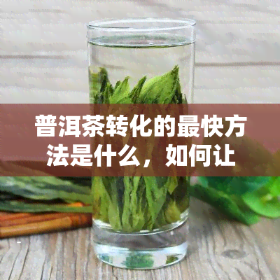 普洱茶转化的最快方法是什么，如何让普洱茶快速转化？——揭秘普洱茶转化的最快方法！