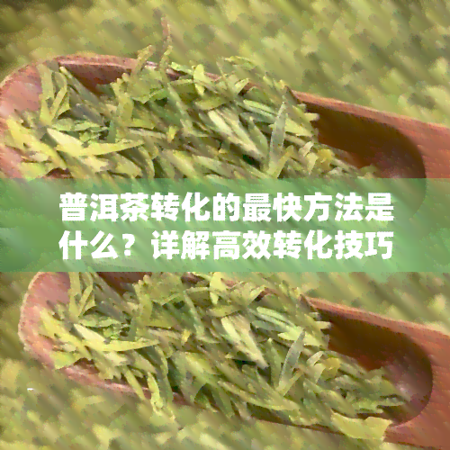 普洱茶转化的最快方法是什么？详解高效转化技巧