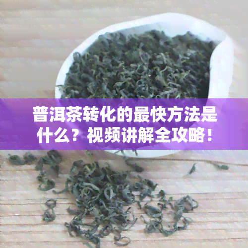 普洱茶转化的最快方法是什么？视频讲解全攻略！