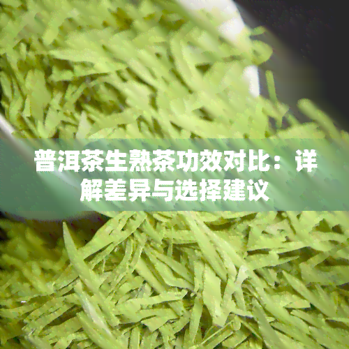 普洱茶生熟茶功效对比：详解差异与选择建议