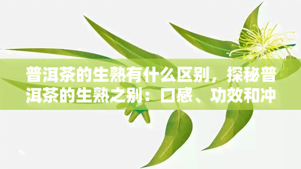 普洱茶的生熟有什么区别，探秘普洱茶的生熟之别：口感、功效和冲泡方法的全面解析