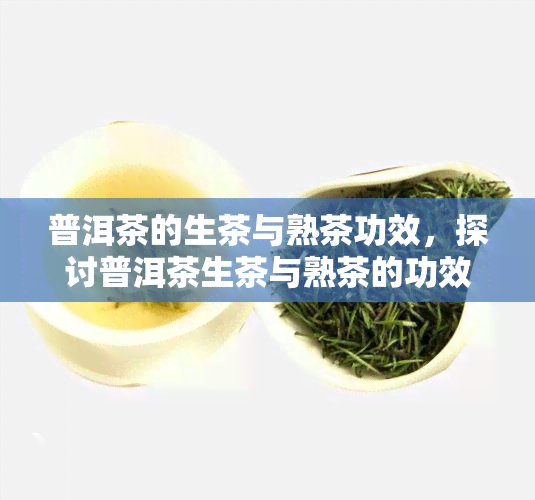 普洱茶的生茶与熟茶功效，探讨普洱茶生茶与熟茶的功效差异