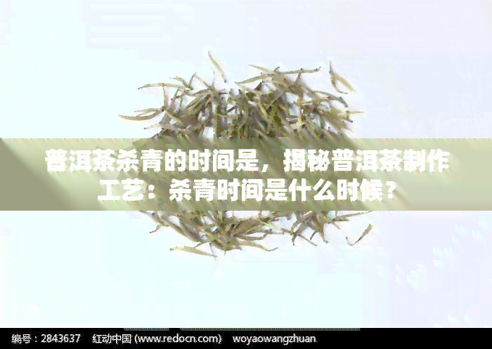 普洱茶杀青的时间是，揭秘普洱茶制作工艺：杀青时间是什么时候？