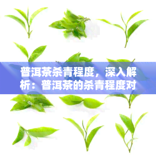 普洱茶杀青程度，深入解析：普洱茶的杀青程度对茶叶品质的影响