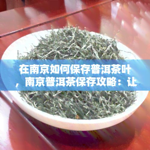 在南京如何保存普洱茶叶，南京普洱茶保存攻略：让您的茶叶保持状态