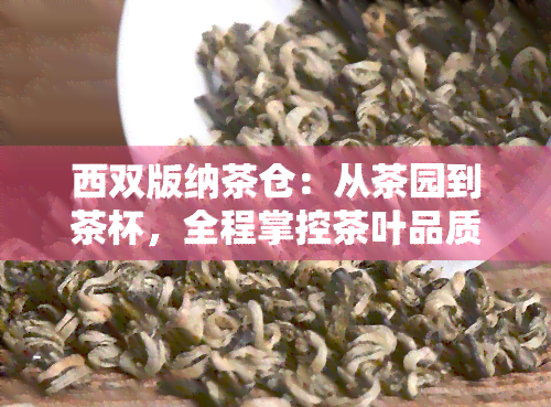 西双版纳茶仓：从茶园到茶杯，全程掌控茶叶品质