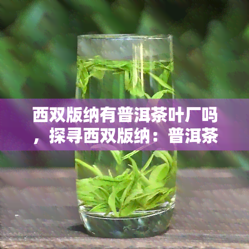 西双版纳有普洱茶叶厂吗，探寻西双版纳：普洱茶的故乡与茶叶厂探秘