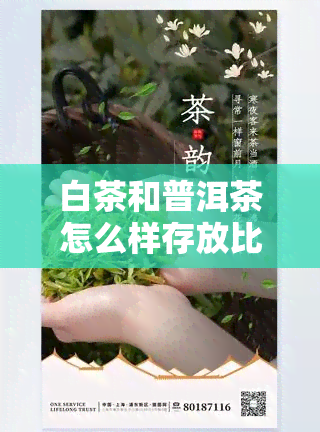 白茶和普洱茶怎么样存放比较好，如何科学保存白茶与普洱茶？