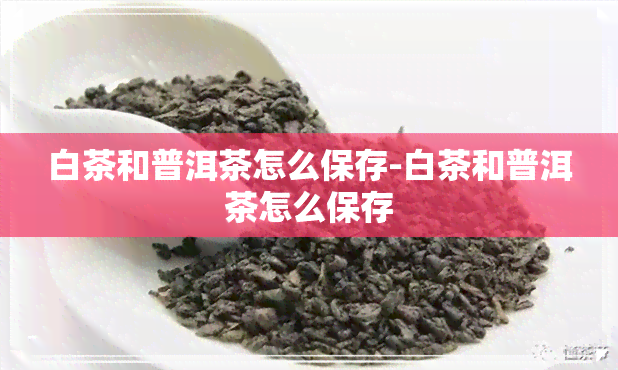 白茶和普洱茶怎么保存-白茶和普洱茶怎么保存