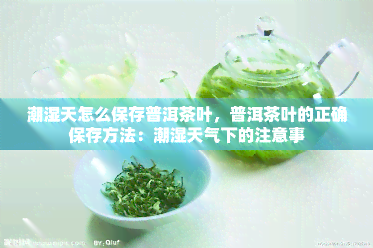 潮湿天怎么保存普洱茶叶，普洱茶叶的正确保存方法：潮湿天气下的注意事