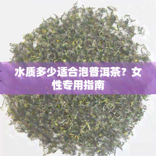 水质多少适合泡普洱茶？女性专用指南