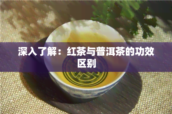 深入了解：红茶与普洱茶的功效区别