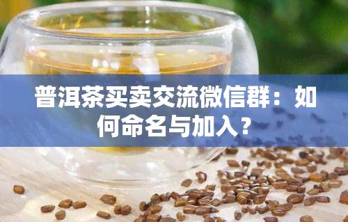 普洱茶买卖交流微信群：如何命名与加入？