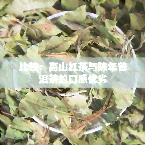 比较：高山红茶与陈年普洱茶的口感优劣