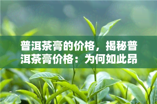 普洱茶膏的价格，揭秘普洱茶膏价格：为何如此昂贵？