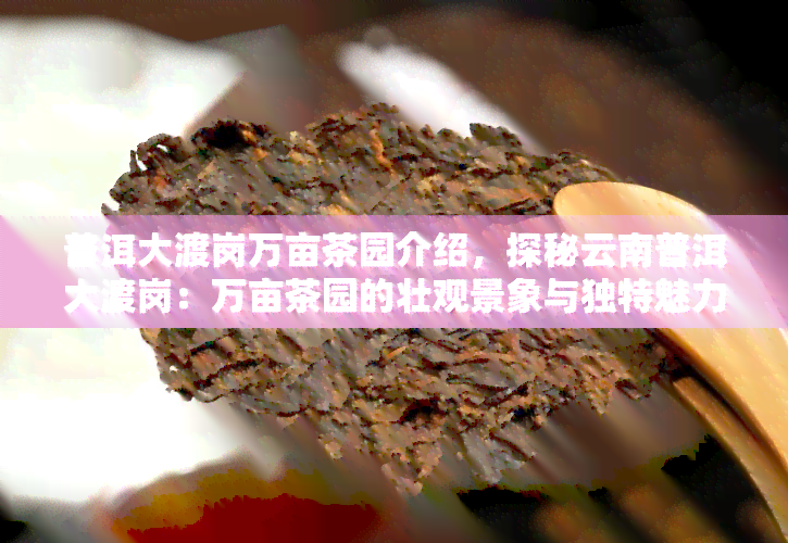 普洱大渡岗万亩茶园介绍，探秘云南普洱大渡岗：万亩茶园的壮观景象与独特魅力