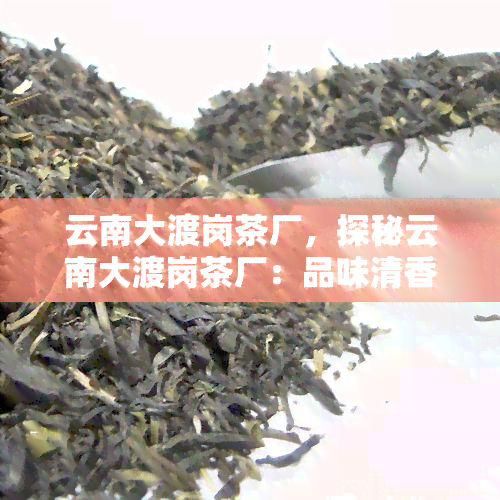 云南大渡岗茶厂，探秘云南大渡岗茶厂：品味清香，领略茶园风情