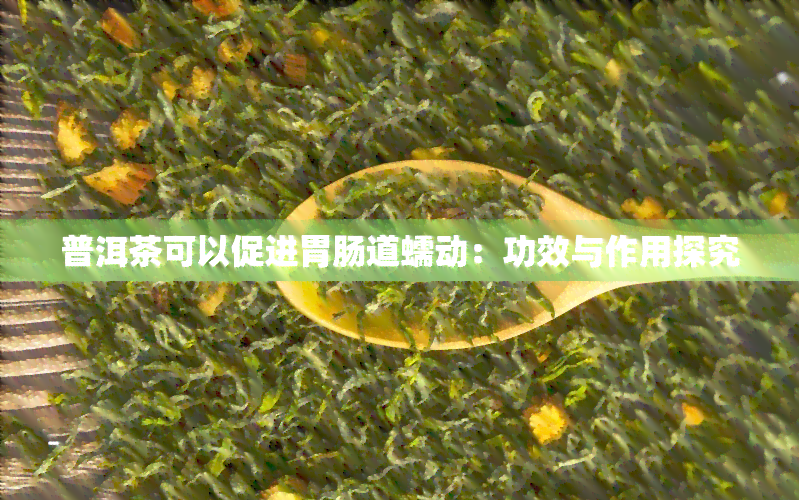 普洱茶可以促进胃肠道蠕动：功效与作用探究