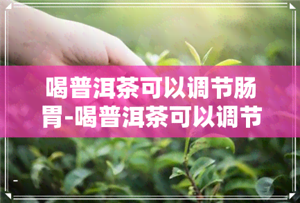 喝普洱茶可以调节肠胃-喝普洱茶可以调节肠胃吗