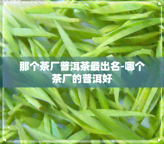 那个茶厂普洱茶最出名-哪个茶厂的普洱好