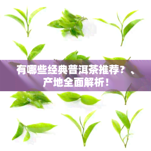 有哪些经典普洱茶推荐？、产地全面解析！