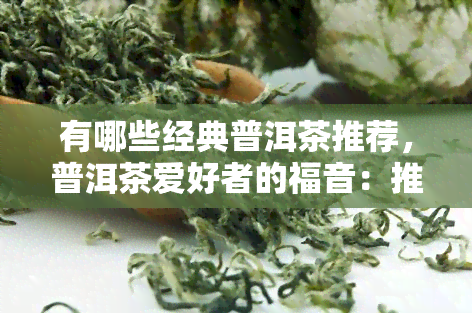 有哪些经典普洱茶推荐，普洱茶爱好者的福音：推荐几款经典普洱茶