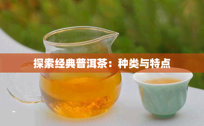 探索经典普洱茶：种类与特点