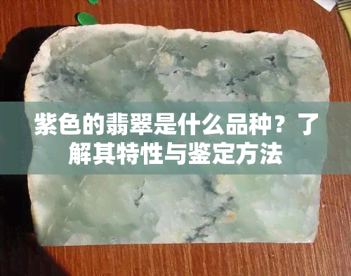 紫色的翡翠是什么品种？了解其特性与鉴定方法