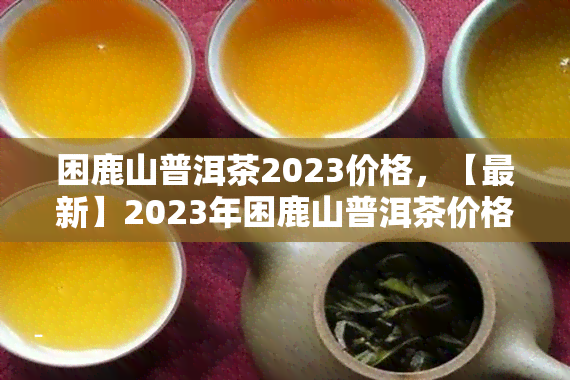 困鹿山普洱茶2023价格，【最新】2023年困鹿山普洱茶价格行情趋势分析