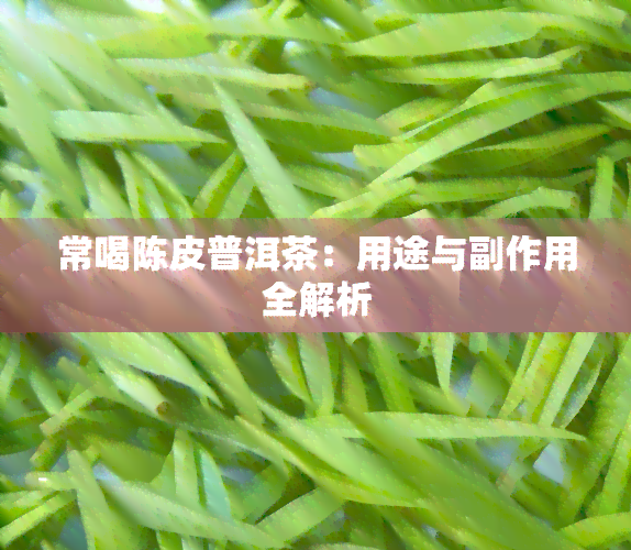 常喝陈皮普洱茶：用途与副作用全解析