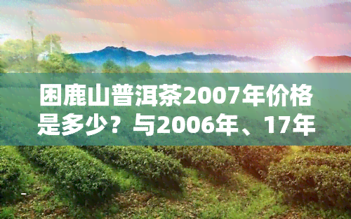 困鹿山普洱茶2007年价格是多少？与2006年、17年版本相比如何？